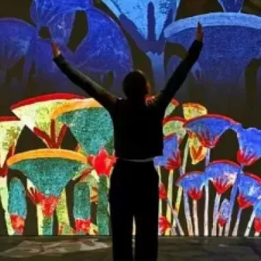 Immersive Yoga