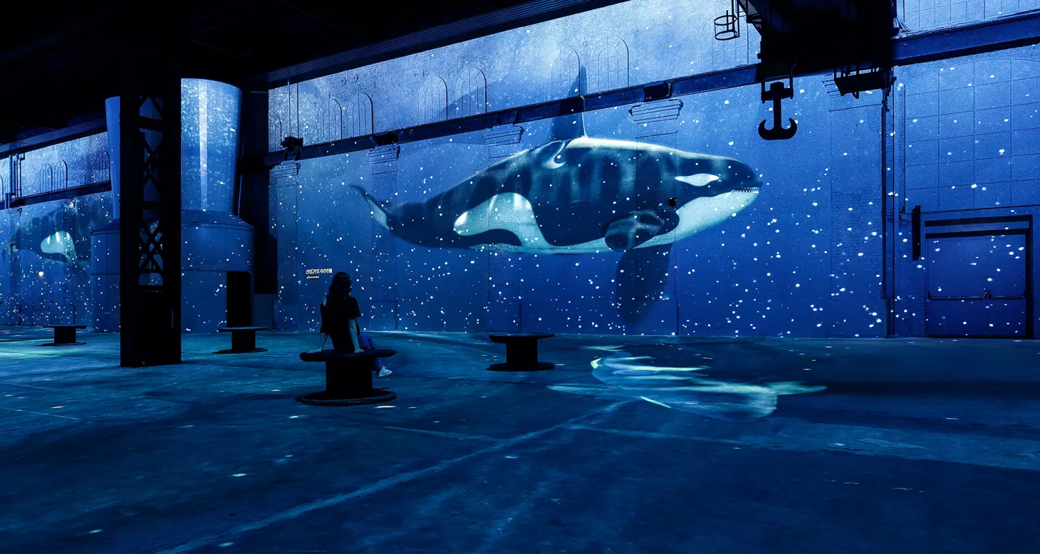 pxdloceans_014_fwuebbecke.jpg. 