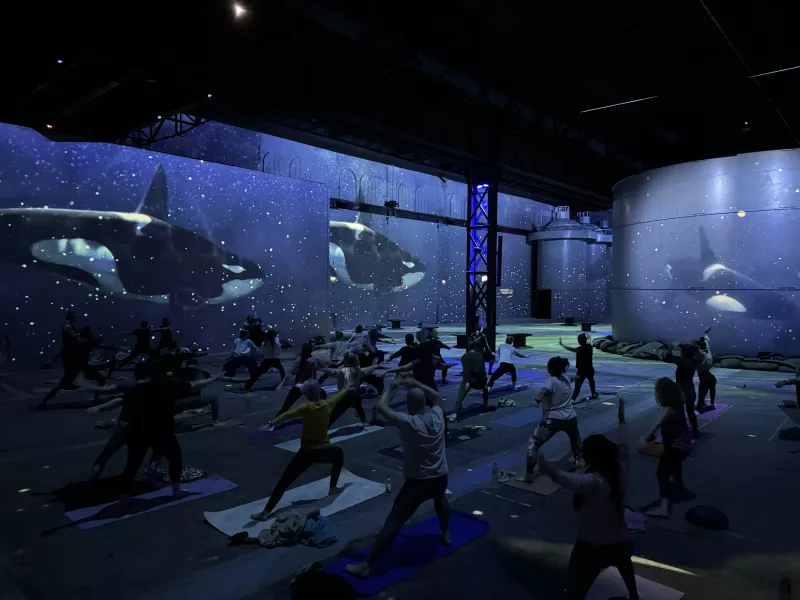 Yoga