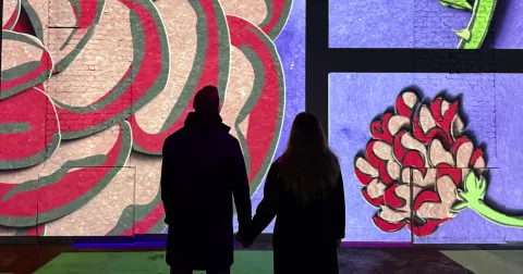 Bubbles & Butterflies