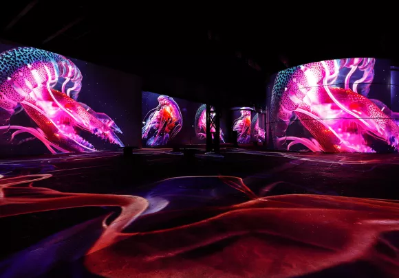 Mehr über unsere 3D-Audiotechnologie